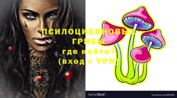 стафф Шарыпово