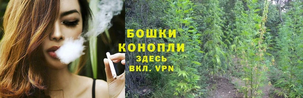 каннабис Щигры