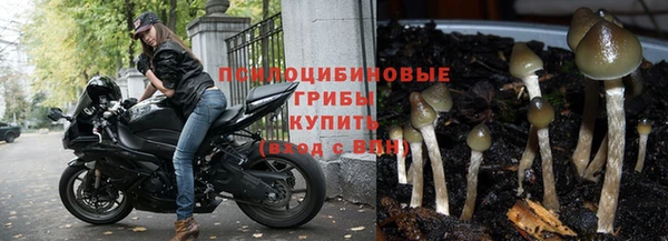 экстази Шадринск