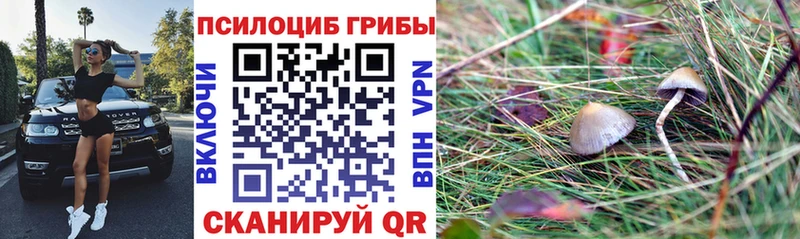 Галлюциногенные грибы MAGIC MUSHROOMS Купить где Прохладный